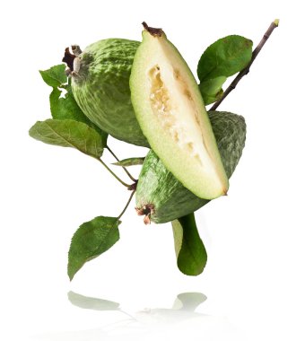 Yeşil yapraklı taze çiğ feijoa beyaz arka planda izole edilmiş olarak havaya düşüyor. Gıda havalanması ya da sıfır yerçekimi kavramı. Yüksek çözünürlük