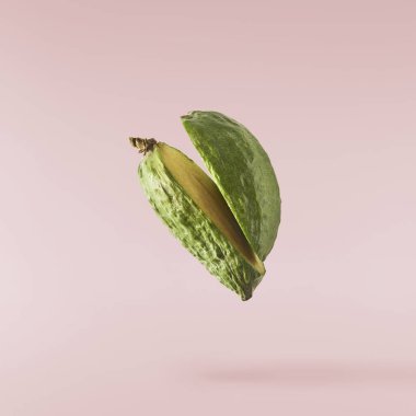 Pembe zemine izole edilmiş yeşil yapraklı taze çiğ feijoa. Gıda havalanması ya da sıfır yerçekimi kavramı. Yüksek çözünürlük