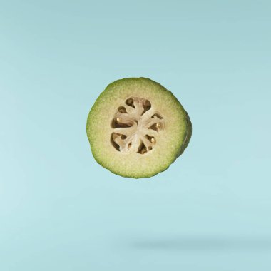 Turkuaz arka planda izole edilmiş yeşil yapraklı taze çiğ feijoa. Gıda havalanması ya da sıfır yerçekimi kavramı. Yüksek çözünürlük