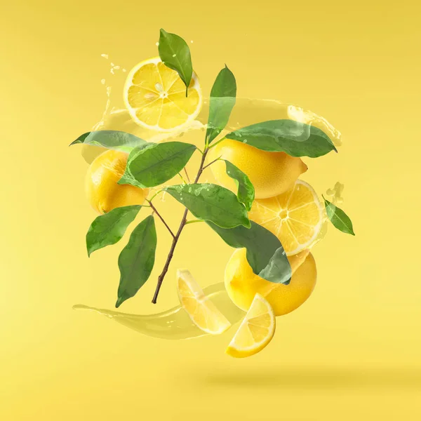Свежие Сырые Лимоны Зелеными Листьями Падают Воздух Изолированы Желтом Освещенном — стоковое фото