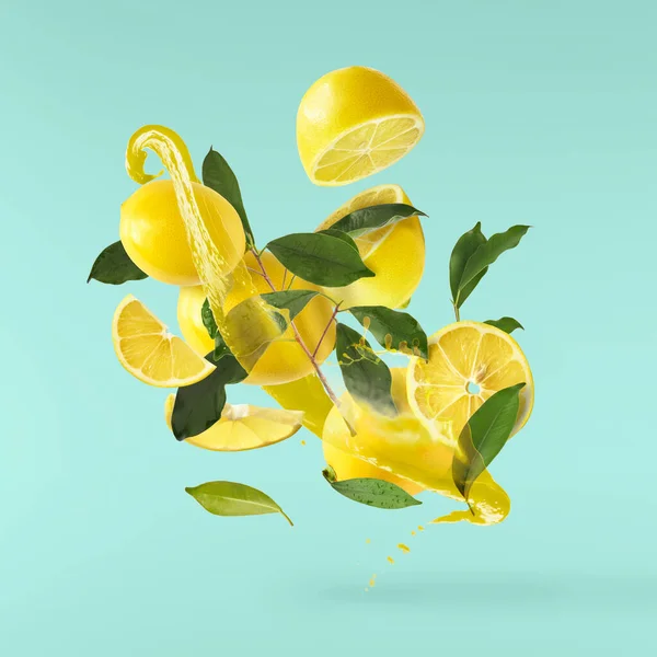 Свежие Сырые Лимоны Зелеными Листьями Падают Воздух Изолированы Бирюзовом Фоне — стоковое фото