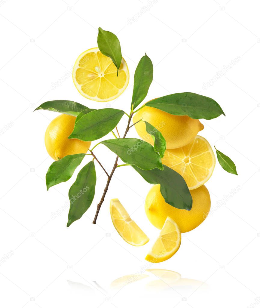 Fresh raw whole and cut lemons with green leaves falling in the air isolated on white background. Food levitation or zero gravity conception. High resolution image