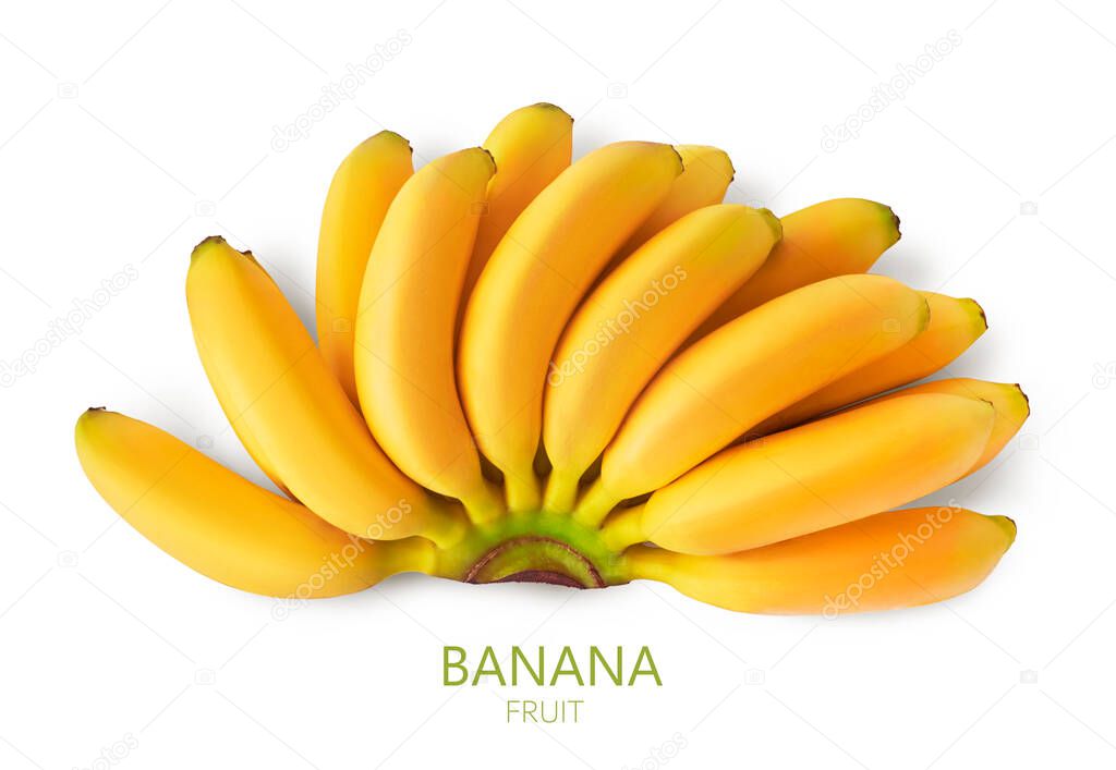 Fresh ripe yellow baby bananas isolated on white background. High resolution image