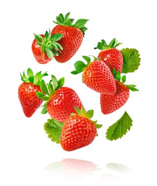 Taze taze olgun çilek ve yeşil yapraklar beyaz arka planda izole bir şekilde havaya düşüyor. Gıda havalanması ya da sıfır yerçekimi kavramı. Yaratıcı gıda düzeni, yüksek çözünürlüklü görüntü