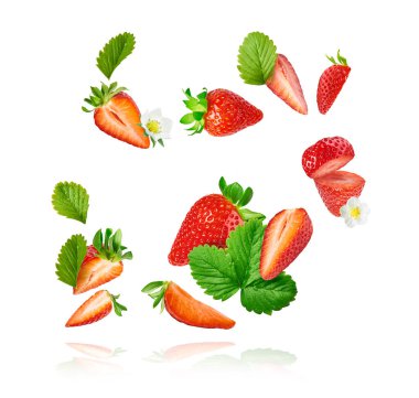 Taze taze olgun çilek ve yeşil yapraklar beyaz arka planda izole bir şekilde havaya düşüyor. Gıda havalanması ya da sıfır yerçekimi kavramı. Yaratıcı gıda düzeni, yüksek çözünürlüklü görüntü