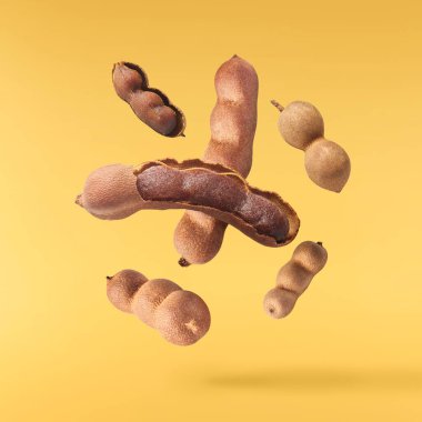 Fresh ripe tamarind fruit falling in the air isolated on yellow background. High resolution image. Food levitation concept clipart