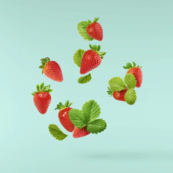 Fresh raw ripe strawberry with green leaves falling in the air isolated on turquoise background. Food levitation or zero gravity conception. Creative food layout, High resolution image