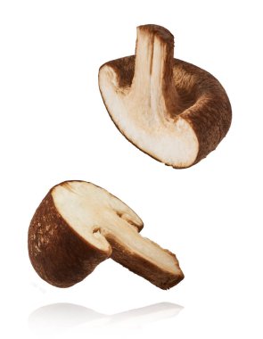 Beyaz arka plana izole edilmiş taze çiğ Shiitake mantarları düşüyor. Gıda havalanması veya sıfır yerçekimi kavramı.