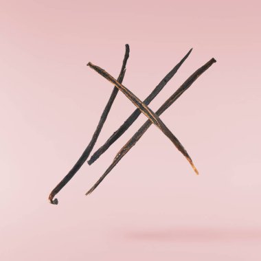 Kurutulmuş Vamilla Fasulyeleri pembe arka planda izole bir şekilde havaya düşüyor. Sıfır yerçekimi ya da gıda havalanması.