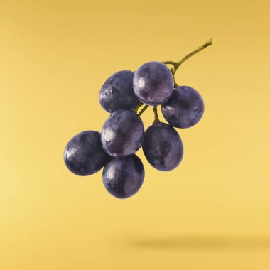 Havaya düşen taze organik Mavi Üzüm sarı arka planda izole edilmiş. Yiyecek havalanması ya da sıfır yerçekimi kavramı.