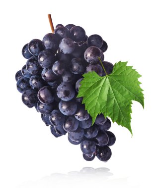 Taze organik Mavi Üzüm ve yeşil yapraklar beyaz arka planda izole bir şekilde havaya düşüyor. Yiyecek havalanması ya da sıfır yerçekimi kavramı.