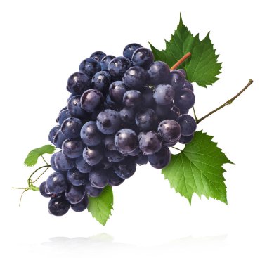 Taze organik Mavi Üzüm ve yeşil yapraklar beyaz arka planda izole bir şekilde havaya düşüyor. Yiyecek havalanması ya da sıfır yerçekimi kavramı.