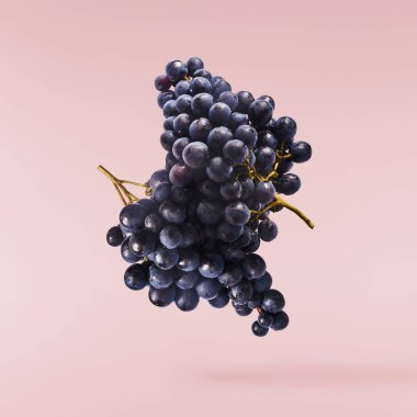 Taze organik Mavi Üzüm ve yeşil yapraklar pembe arka planda izole bir şekilde havaya düşüyor. Yiyecek havalanması ya da sıfır yerçekimi kavramı.