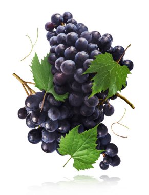 Taze organik Mavi Üzüm ve yeşil yapraklar beyaz arka planda izole bir şekilde havaya düşüyor. Yiyecek havalanması ya da sıfır yerçekimi kavramı.