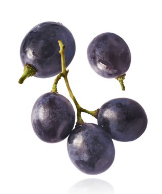 Beyaz arka plana izole edilmiş taze organik Mavi Üzüm düşüyor. Gıda havalanması veya sıfır yerçekimi kavramı.