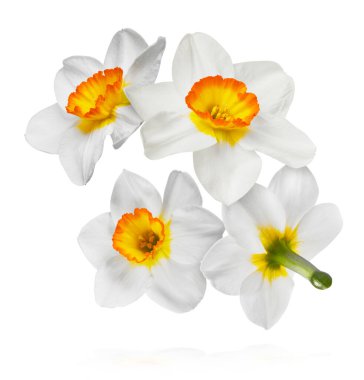 Havada uçuşan lezzetli çikolatalar. Yüksek çözünürlüklü yükselme