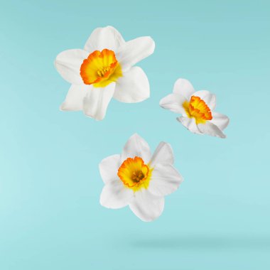 Havada uçuşan lezzetli çikolatalar. Yüksek çözünürlüklü yükselme