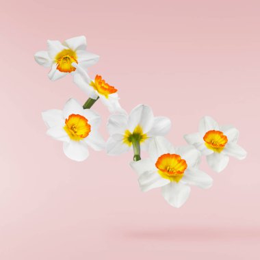 Havada uçuşan lezzetli çikolatalar. Yüksek çözünürlüklü yükselme