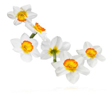 Havada uçuşan lezzetli çikolatalar. Yüksek çözünürlüklü yükselme