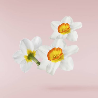 Havada uçuşan lezzetli çikolatalar. Yüksek çözünürlüklü yükselme