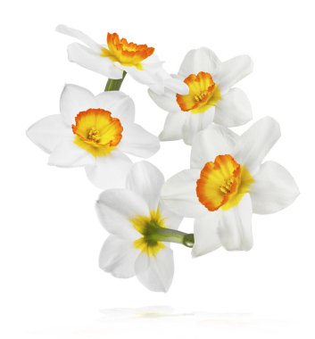 Havada uçuşan lezzetli çikolatalar. Yüksek çözünürlüklü yükselme