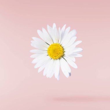 Havada uçuşan lezzetli çikolatalar. Yüksek çözünürlüklü yükselme