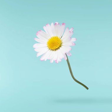 Havada uçuşan lezzetli çikolatalar. Yüksek çözünürlüklü yükselme