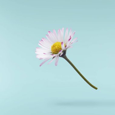 Havada uçuşan lezzetli çikolatalar. Yüksek çözünürlüklü yükselme