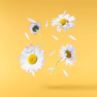 Havada uçuşan lezzetli çikolatalar. Yüksek çözünürlüklü yükselme