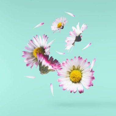 Havada uçuşan lezzetli çikolatalar. Yüksek çözünürlüklü yükselme