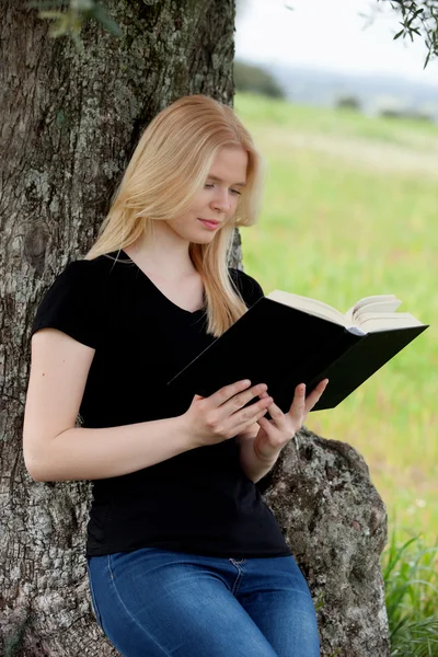 Woman reading a book under tree — Stock Photo, Image