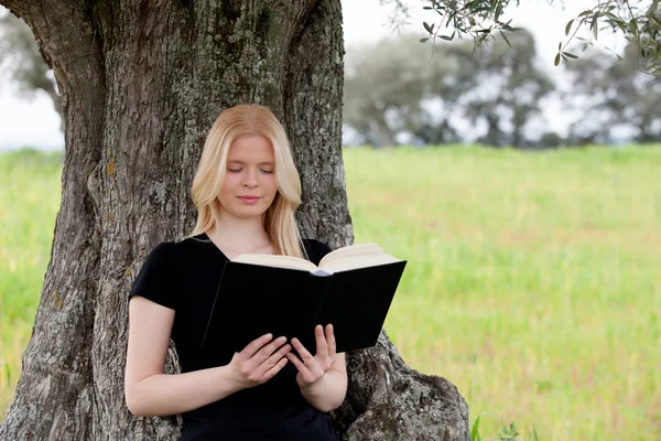 Woman reading a book under tree — Stock Photo, Image