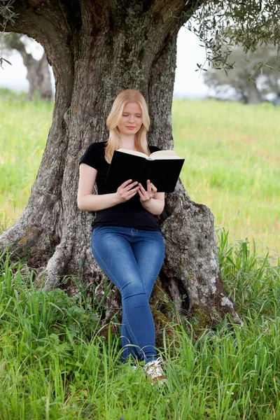 Woman reading a book under tree — Stock Photo, Image