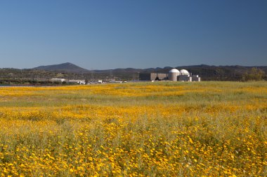 Nükleer enerji santrali 