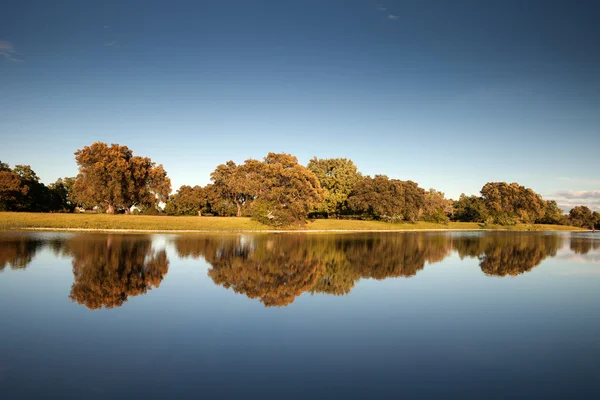 Beau paysage de rives de rivière — Photo