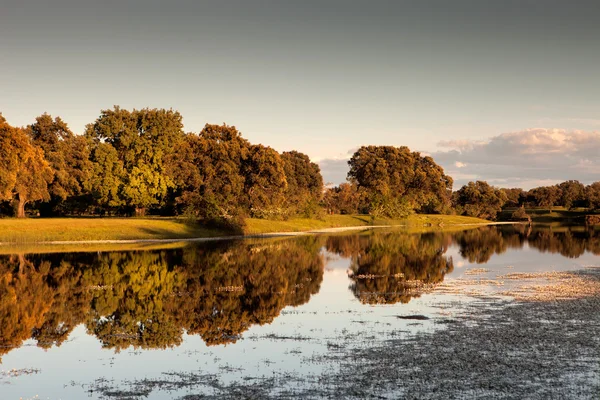 Bela paisagem de bancos de rio — Fotografia de Stock