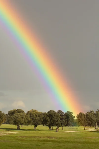 Paesaggio con bellissimo arcobaleno — Foto Stock