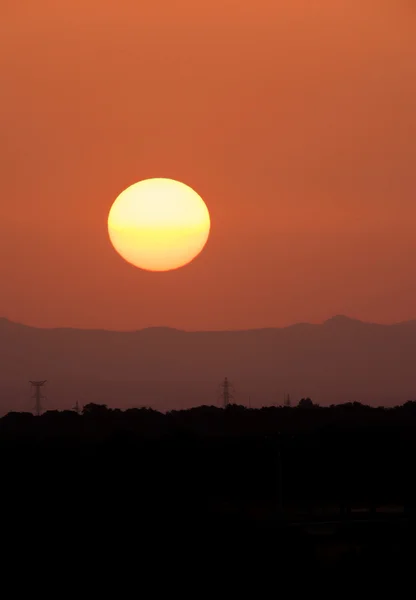 Beautiful sunset in summer — Stock Photo, Image