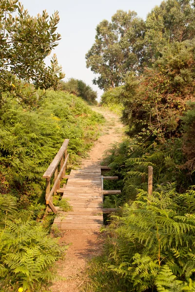 Mooi parcours midden in de natuur — Stockfoto