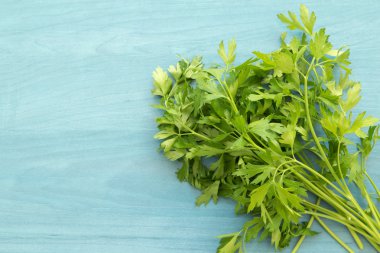Maydanoz şube mavi arka plan