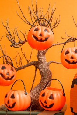 Kabaklar kuru bir ağaç üzerinde asılı