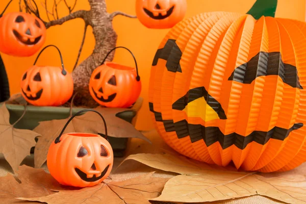 Calabazas colgantes en un árbol seco —  Fotos de Stock