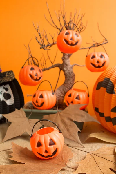 Calabazas colgantes en un árbol seco —  Fotos de Stock