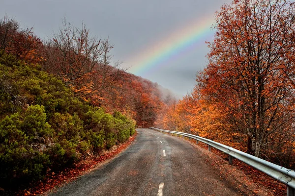 背景の素晴らしい空を持つ孤独な道 — ストック写真