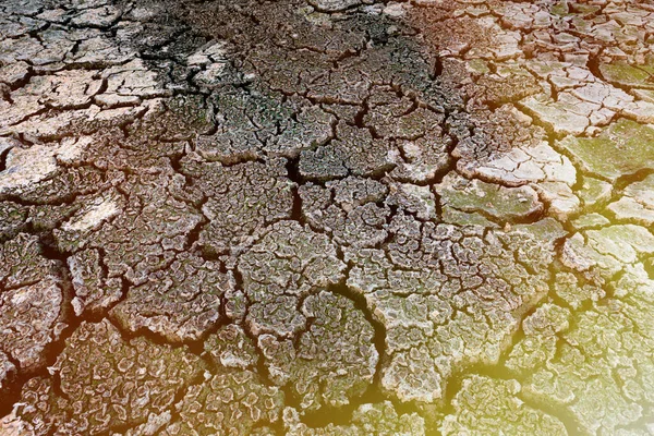 Hnědá Suchá Půda Nebo Popraskané Pozemní Textury Pozadí — Stock fotografie