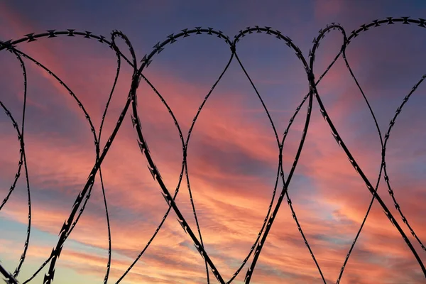 Barbed wire on dramatic sky background at sunset, selective focus