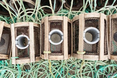 Istakoz ve yengeç kutuları İspanyol limanında