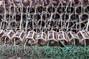 Istakoz ve yengeç kutuları İspanyol limanında