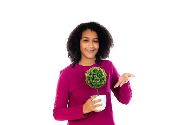 Tonåring Flicka Med Afro Hår Bär Rosa Tröja Isolerad Vit — Stockfoto