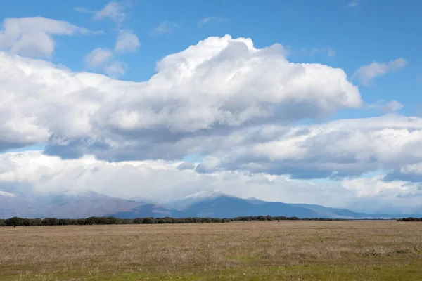 Piękne Chmury Nad Samotną Łąką — Zdjęcie stockowe